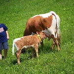 Farm Pirc Laško