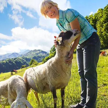 Vakantieboerderij Farm Pirc Laško