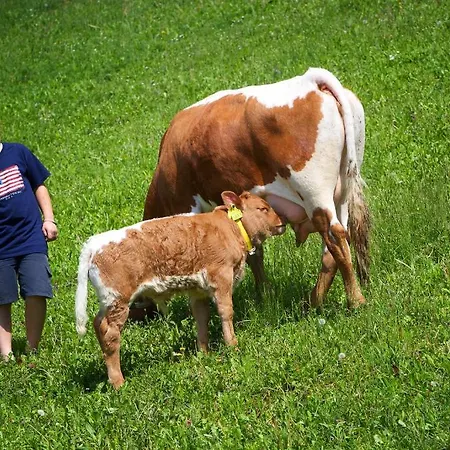 Farm Pirc Laško
