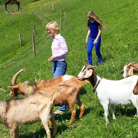 Farm Pirc * Laško